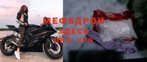 хмурый Дубна